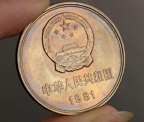 1981一元硬币值多少钱 1981一元硬币价格单枚