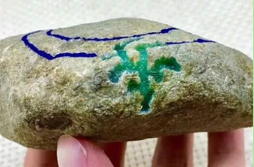 翡翠原石哪里买 哪里可以买到好的翡翠原石
