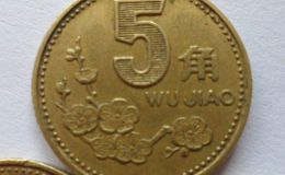 1996年五角梅花硬币值多少钱一个 1996年五角梅花硬币价格表