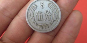 1956的5分钱硬币值多少钱 1956的5分钱硬币市场价值