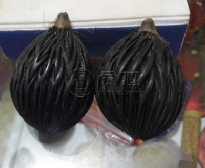千丝菩提的寓意 千丝菩提产地在哪
