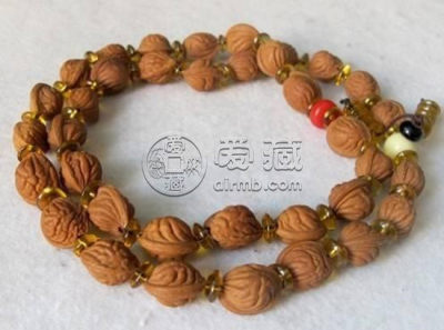 什么是龙棘子 龙棘子特点及价格