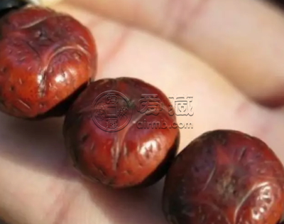 麒麟眼菩提子手串价格 麒麟眼菩提子手串多少钱图片