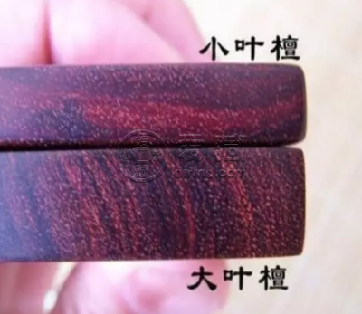 大叶紫檀和小叶紫檀的区别 怎么鉴别