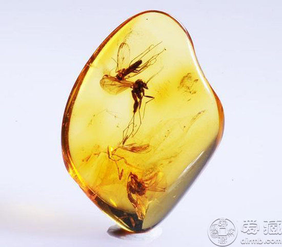 琥珀怎么分辨真假琥珀相关介绍