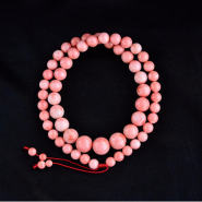 momo珊瑚圖片介紹 momo珊瑚價格是多少