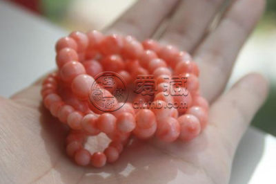 momo珊瑚图片介绍 momo珊瑚价格是多少