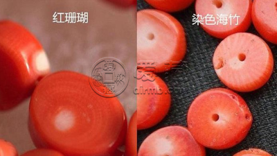 天然红珊瑚真假对照图 如何鉴别天然红珊瑚