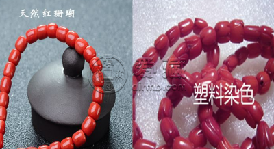 天然红珊瑚真假对照图 如何鉴别天然红珊瑚