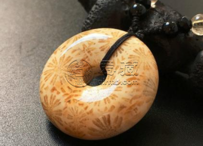 珊瑚图片大全图片欣赏 珊瑚玉是什么样的