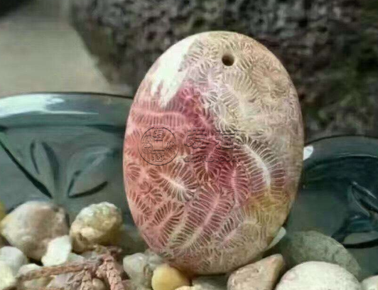 珊瑚石图片 珊瑚石是怎么形成的