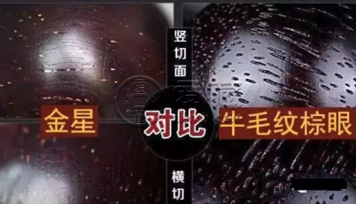 小叶紫檀假金星鉴别图 小叶紫檀假金星对比图