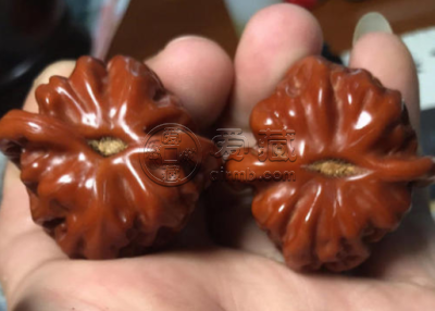 怎么用锅煮核桃上色 用锅煮核桃真的能上色吗