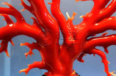 红珊瑚用火烧鉴别真假   红珊瑚怎么鉴别