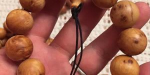崖柏價格一般是多少 崖柏價格趨勢分析