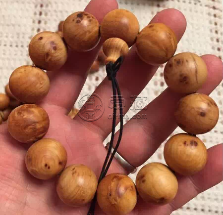 崖柏價格一般是多少 崖柏價格趨勢分析