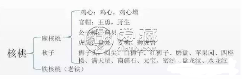 文玩核桃分类图解 文玩核桃分类详解