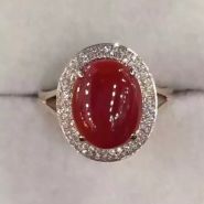 珊瑚分幾個等級 珊瑚等級分類