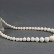 白珊瑚图片 白珊瑚图片及价格