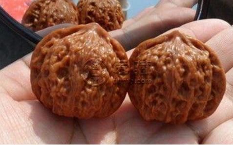 文玩核桃皮质最硬排行 哪种文玩核桃皮质最硬