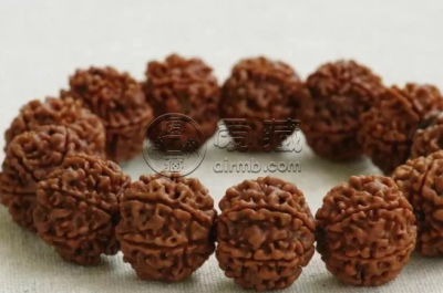 小金刚怎么盘玩效果好 小金刚盘玩效果
