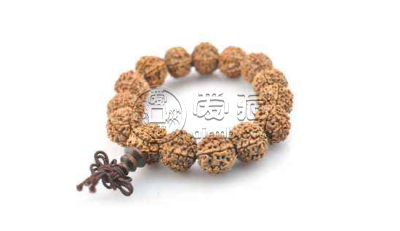 七瓣金刚菩提介绍及寓意 鉴别方法