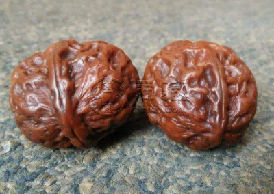 铁核桃最贵的品种 核桃种类介绍