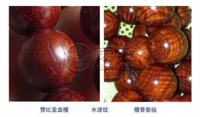 非洲小叶紫檀和赞比亚血檀 哪个比较好