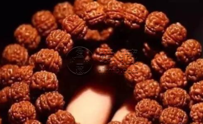 怎么清理金刚菩提缝隙的灰尘    金刚菩提清理方法