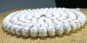 星月菩提子价格   星月盘玩最佳方法