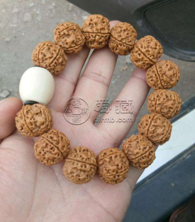5瓣金刚菩提子手串寓意   其他瓣数的寓意