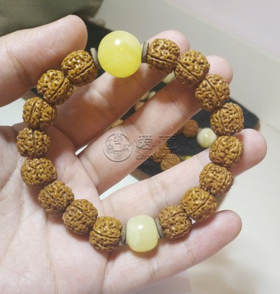 小金剛哪個(gè)品種最好    小金剛的種類
