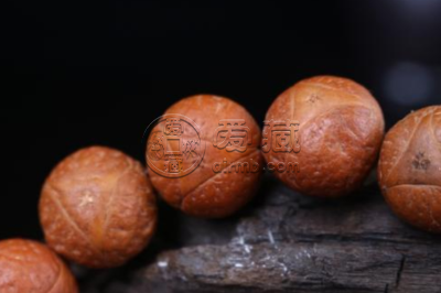 菩提种类有多少种  菩提种类介绍