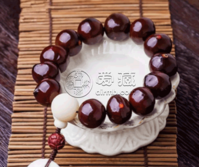 太阳菩提 太阳菩提是什么