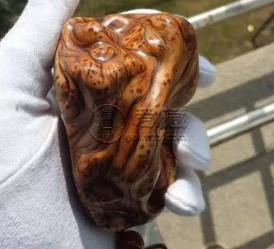 陈化崖柏 陈化崖柏是什么