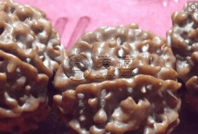 金刚菩提反碱图片 金刚菩提反碱是怎么回事