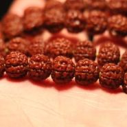 假金刚菩提落地红   怎么鉴别