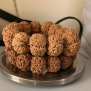 药王金刚什么意思 药王金刚有什么特点