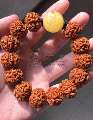 真假金刚菩提怎么辨认   辨认金刚菩提真假的方法