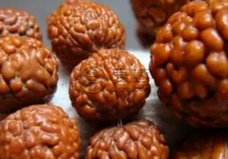 大金刚品种大全图解 大金刚品种有哪些