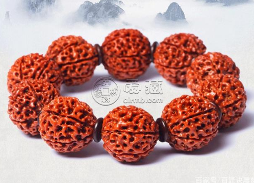 大金刚品种大全图解 大金刚品种有哪些