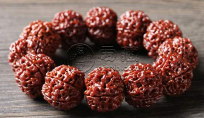 金刚菩提手串几瓣最好  金刚菩提配饰讲究