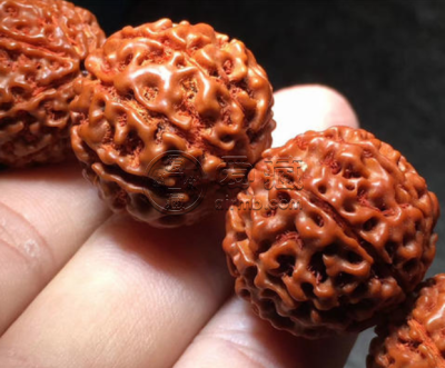 9瓣金刚菩提子价格 价格贵吗