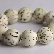 菩提属于木吗 菩提是什么