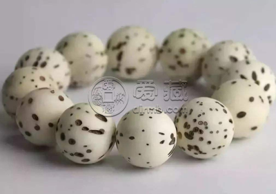 菩提属于木吗 菩提是什么