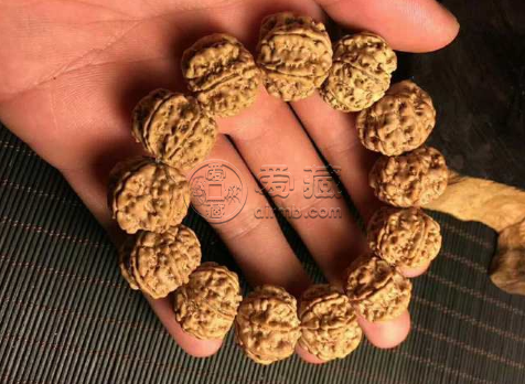 尼泊尔凤眼菩提鉴别 怎么鉴别尼泊尔凤眼菩提