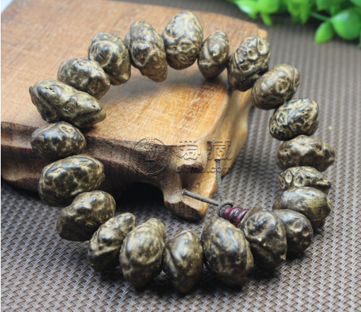 鬼脸菩提图片 鬼脸菩提是什么