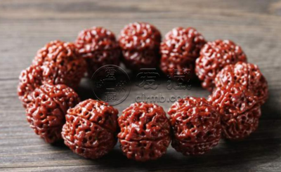 金刚菩提一般什么价位 金刚菩提价格贵吗
