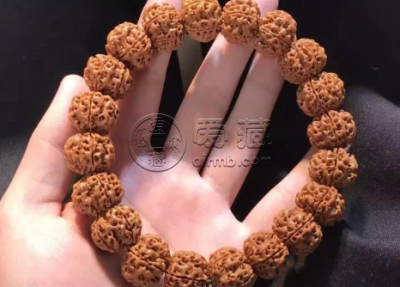 金刚菩提里面的脏东西怎么处理 金刚菩提清洗