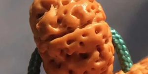 金刚菩提好还是星月菩提 有什么优缺点